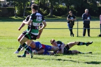 View the album Cowbridge v Penarth - Saturday 29th September 2018