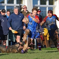 View the album Penarth v Taffs Well (H) - 5th November 2023