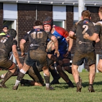 View the album Penarth v Taffs Well (H) - 5th November 2023