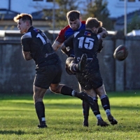 View the album Penarth v Taffs Well (H) - 5th November 2023