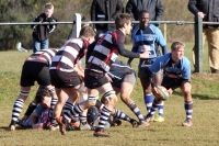 View the album Pentyrch v Penarth - Saturday 21 February 2015