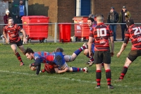 170121Llanishen-032.JPG